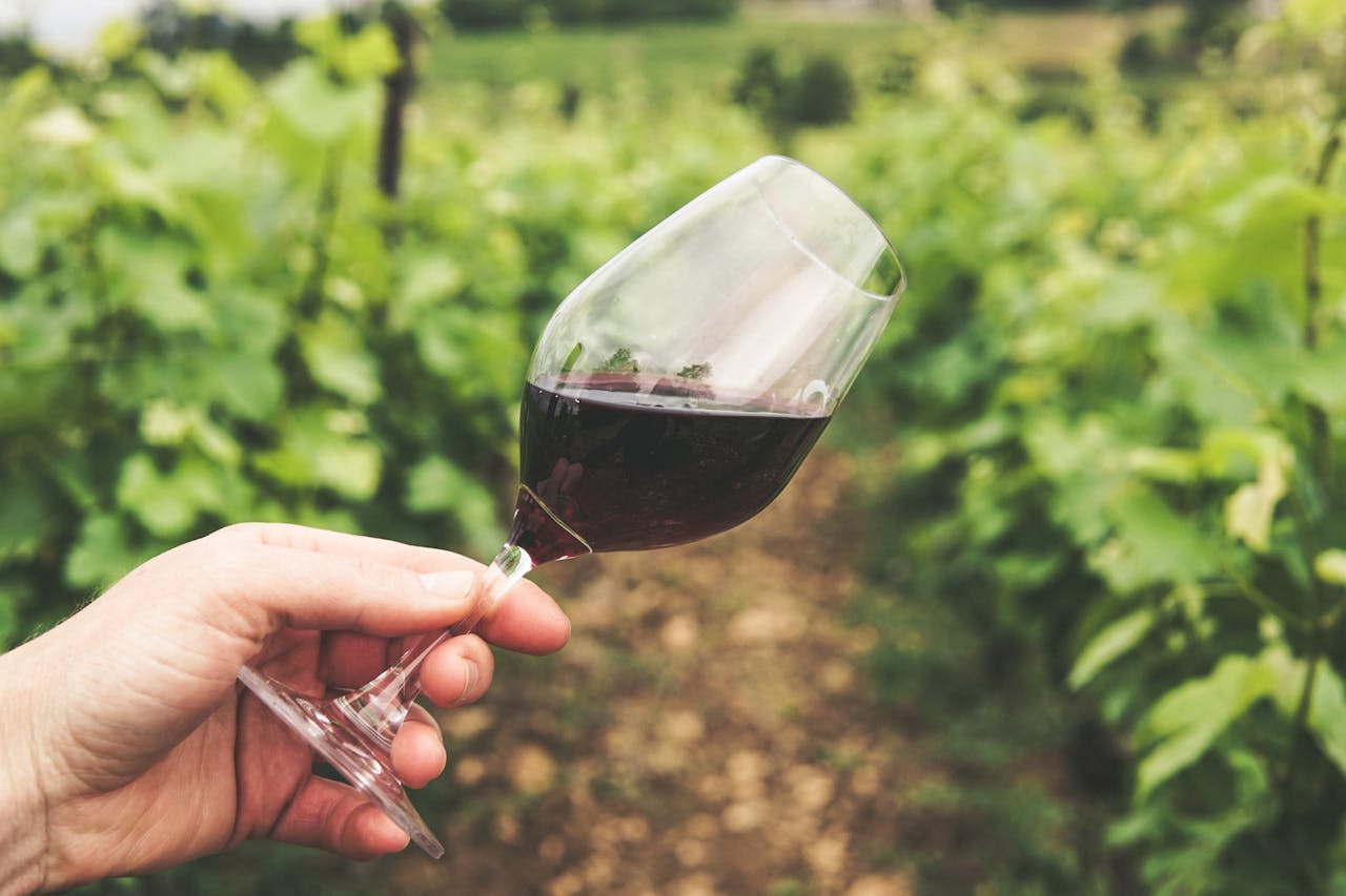The Pros and Cons of Drinking Red Wine, According to an Expert VegNews